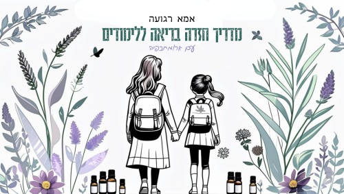 מדריך חזרה בריאה ללימודים